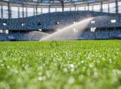 杏彩娱乐,产品,杏彩娱乐官网入口,杏彩娱乐,杏彩娱乐官网入口,杏彩娱乐官网首页,杏彩娱乐官网