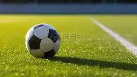 杏彩娱乐 产品 093948 z2y