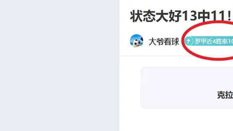 “国安欢庆塞尔吉尼奥成功归化，球迷热烈反响！”