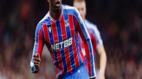 德布勞內夫人資料詳盡展示