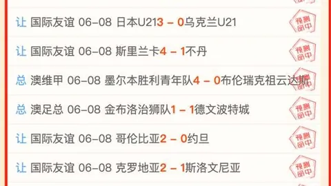 终极指南阿根廷冰岛友谊赛：不容错过的赛事点评